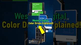 WD Drive Colors Demystified Find Your Perfect Fit [upl. by Oninotna]