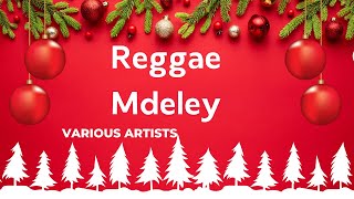 Reggae Medley  Various Artistskaraoke [upl. by Nos133]