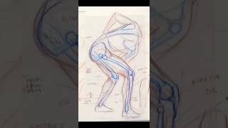 Dynamic Human Anatomy Free Webinar short anatomydrawing figureanatomy [upl. by Sirdna]