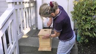 Kestrel Nest Box [upl. by Antin]