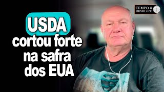 USDA cortou forte na safra dos EUA explica Vlamir Brandalizze [upl. by Notnarb]