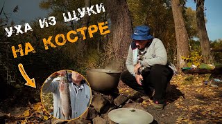 Как приготовить уху после рыбалки из щуки на костре Мой фирменный рыбный суп для всей семьи Рецепт [upl. by Montano869]