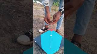 pachmadhi kite festivalkite loverkite short videokite [upl. by Enail]