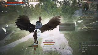 Main Quest 285 Calpheon An Eventful Day  Black Desert Online PS5 [upl. by Aliam75]