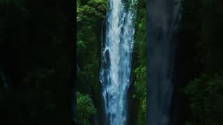 Travel Fun Facts Wailua Falls [upl. by Iliak]