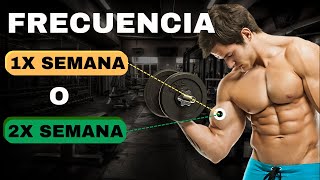 ¿Cuántas veces ENTRENAR cada GRUPO MUSCULAR por SEMANA Según tu NIVEL [upl. by Ynnelg553]