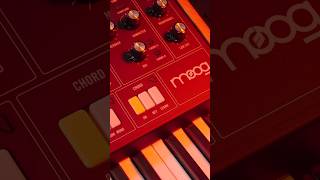 Steppin’ Outs With The Moog Muse Synth [upl. by Bowers835]