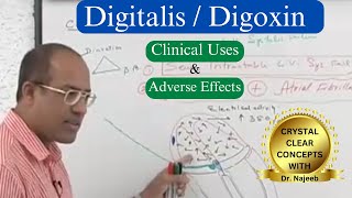 Digitalis  Digoxin Clinical Uses and Adverse Effects [upl. by Anhej]