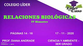 RELACIONES BIOLÓGICAS  CIENCIA Y AMBIENTE  3RO PRIM [upl. by Edaw585]