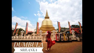 Dambula  Srilanka  Ketaki Narayan  Travel guide [upl. by Siclari]