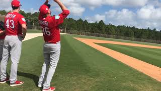 Video Cardinals make catches in windy conditions [upl. by Yatnod577]