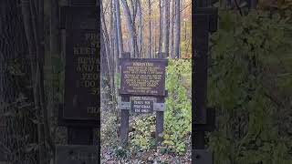 Had you ever tried a waterfall gorge trailgorgetrail newyorkstatepark usatourshortsroots [upl. by Bluhm679]