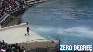 Seaworld Shamu killer whale Show [upl. by Eniluqaj]