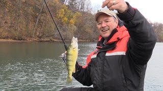 How to Catch Perch  Perch Tips using Live Minnows [upl. by Egidio]