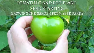 How to Sow Seeds for TOMATILLO and EGGPLANT  How to Start Seeds Series Part 2 [upl. by Gallager]