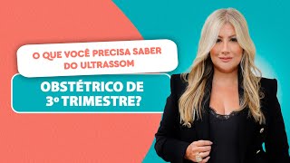 O que Você Precisa Saber do Ultrassom Obstétrico  A Melhor Gestação Possível  Dra Renata Lopes [upl. by Llaccm766]