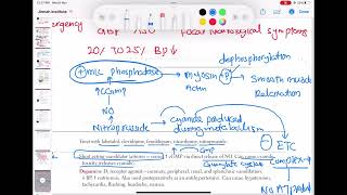 nitroprusside vasodilator pharmacology cardiology 123  First Aid USMLE Step 1 in UrduHindi [upl. by Ahsela]