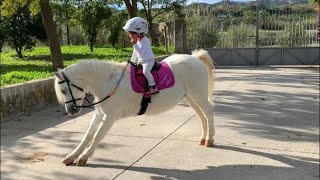 The cutest little toddler horse rider and her pony [upl. by Raamal825]