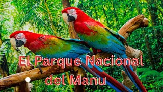 El Parque Nacional del Manu [upl. by Joses]