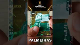 Palmeiras en Copa Libertadores 2023 [upl. by Arraeit]