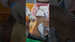 Tilapia fillet fypシ゚viral fishfillet cuttingskils [upl. by Munro]