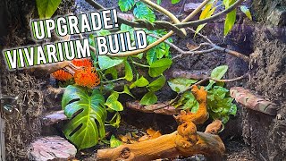 Upgrading My Anoles  Vivarium Cage Build  KristenLeannimal [upl. by Ahsenot]