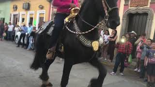 Frisones bailando en Talpa de Allende Jalisco [upl. by Suiramaj]