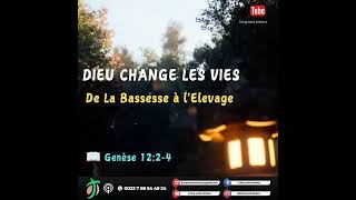 🧎🏽‍♂️Dieu change les vies  De la bassesse à l’élévation [upl. by Barnebas]