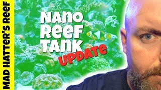 Fluval EVO 135  Nano Reef Tank Update [upl. by Arykat544]