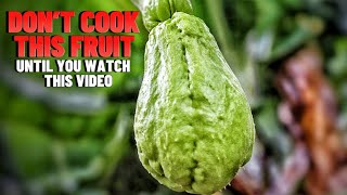 DONT COOK THIS FRUIT AGAIN UNTIL YOU WATCH THIS VIDEO  HOW TO MAKE A CHO CHO PIE  Hawt Chef [upl. by Rehpetsirhc]