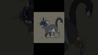 CinderPelt and ThunderStar szablon  AHGHAAAGAHHA KOCHAM ICH cats warriorcats warriorcatsedit [upl. by Kwok315]