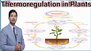 Lec13Thermoregulation in plants by pgc [upl. by Thornton]