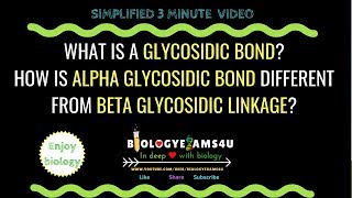 What is a Glycosidic bond Difference between alpha and beta Glycosidic linkage [upl. by Vinia]