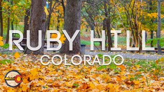 Ruby Hill Denver Neighborhood Tour [upl. by Assilen748]