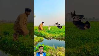 Magic Helicopter tiktok funny video short magic vfx funnyvideo munirbhai [upl. by Aitnohs]