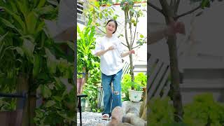 nhảy cùng Khánh Ly nhé dance [upl. by Tronna]