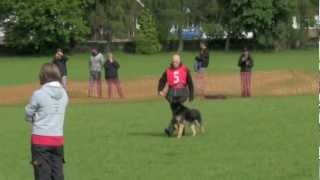 Team GB WUSV IPO World Championship Qualifier Vongalanberg Kai Obedience [upl. by Uriah709]