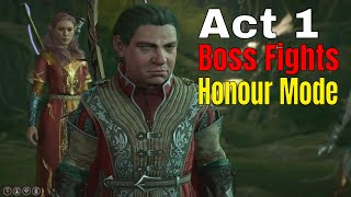 Honour Mode Boss Fights Act 1  Baldurs Gate 3 [upl. by Drislane]