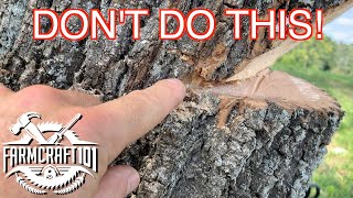 No Nonsense Guide to Tree Felling How to cut down a tree safely FarmCraft101 [upl. by Llezom174]