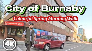 4K HDR City of BURNABY Colourful Spring Morning WalkBritish ColumbiaCanada🇨🇦 [upl. by Elmer]