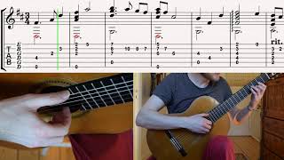 The Elder Scrolls V Skyrim Lute music on classical guitar Tutorial How to play with tabs [upl. by Corena]