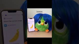 bro needs a new barber 🗣️ bluehair duolingo bumbumbum [upl. by Nylg]