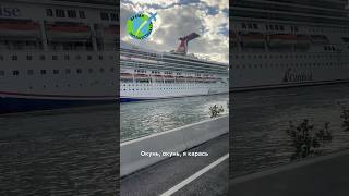 Кодовые слова на круизном лайнере кодлайнеркруизкруизныйлайнеркорабликорабльcruisecruiseship [upl. by Noteloc]