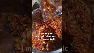 Organic Crushed red peppers and air drying them yt ytshorts shorts organic trending fyp [upl. by Yrekaz]