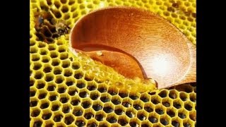 Honeycomb Cutting and Honey Flowing  ULTRA SATISFYING [upl. by Cahn]