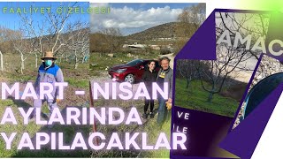 MART  NİSAN AYLARINDA YAPILACAK FAALİYETLER ÇİZELGESİ [upl. by Nissie]