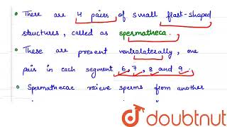 Spermatheca of Pheretima represent  CLASS 12  PERIPLANETA COCKROACH  BIOLOGY  Doubtnut [upl. by Kerianne]