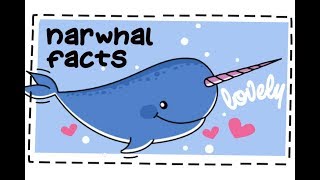 20 Fun Facts About Narwhals 🐋 [upl. by Jessee744]