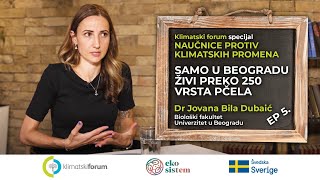 „Naučnice protiv klimatskih promena“ – dr Jovana Bila Dubaić Kako pomoći pčelama i pčelarstvu [upl. by Oludoet]