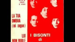 I Bisonti di Bruno Castiglia  La tua ombra mi segue 1967 [upl. by Cita]